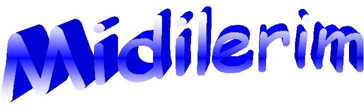 image002.gif (16105 bytes)